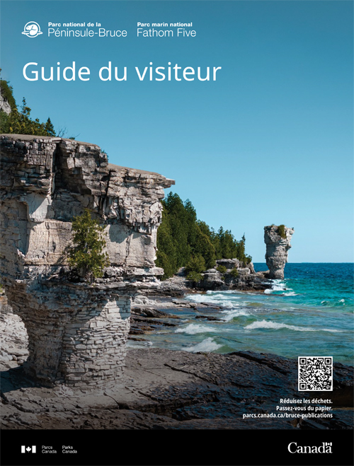 brochure cover
