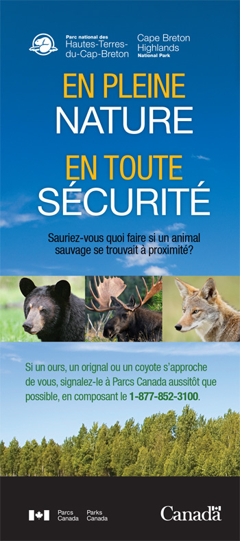 brochure cover
