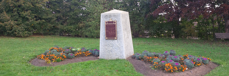Park Photo