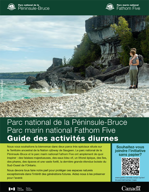 brochure cover