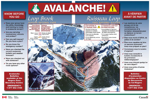 brochure cover
