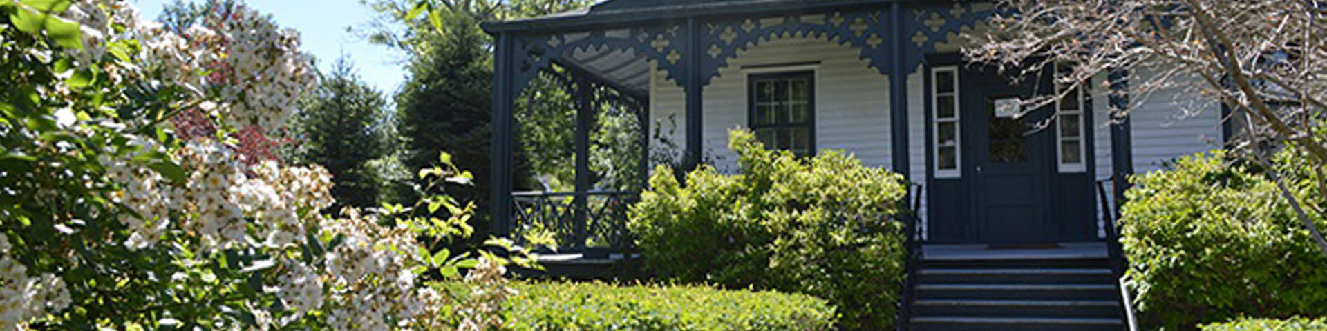 Park Photo