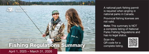 brochure cover