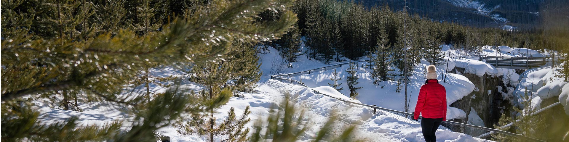 Park Photo