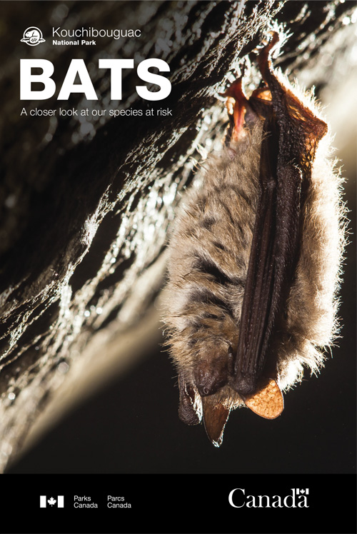 brochure cover