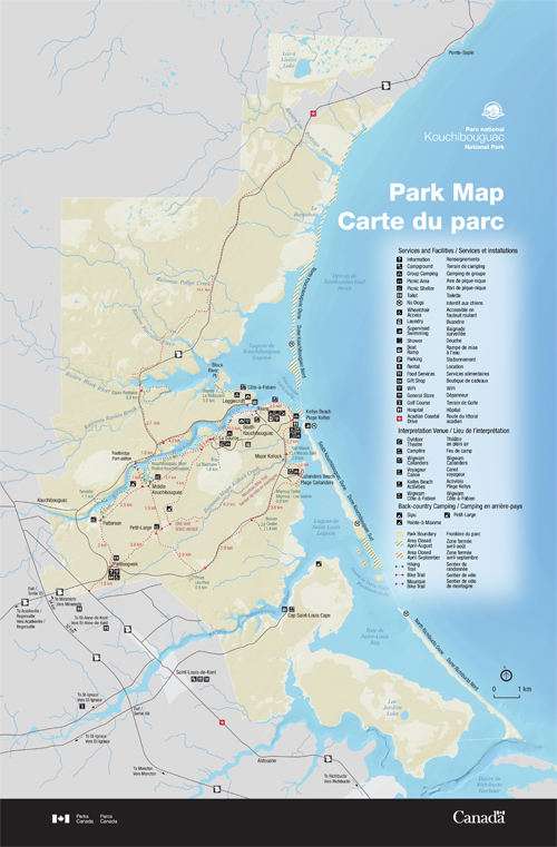 brochure cover