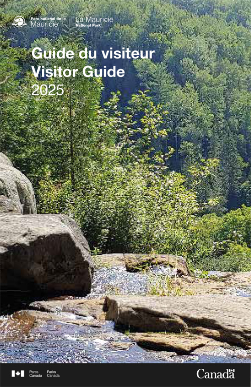 brochure cover