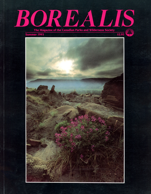 magazine cover