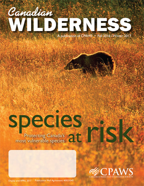 magazine cover