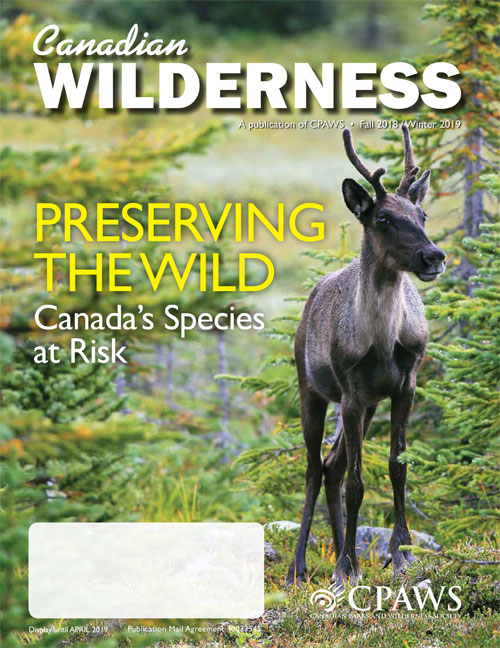 magazine cover