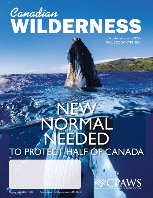 magazine cover