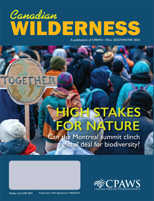 magazine cover