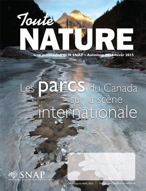 magazine cover