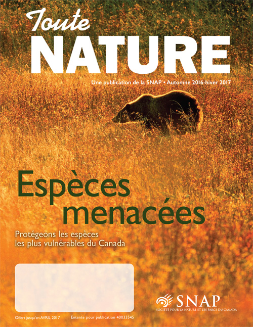 magazine cover