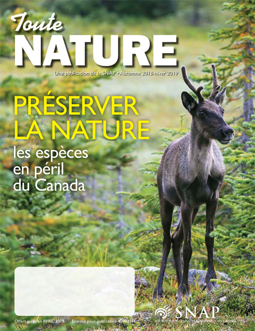 magazine cover