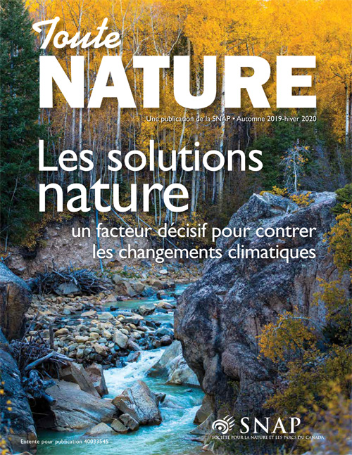 magazine cover