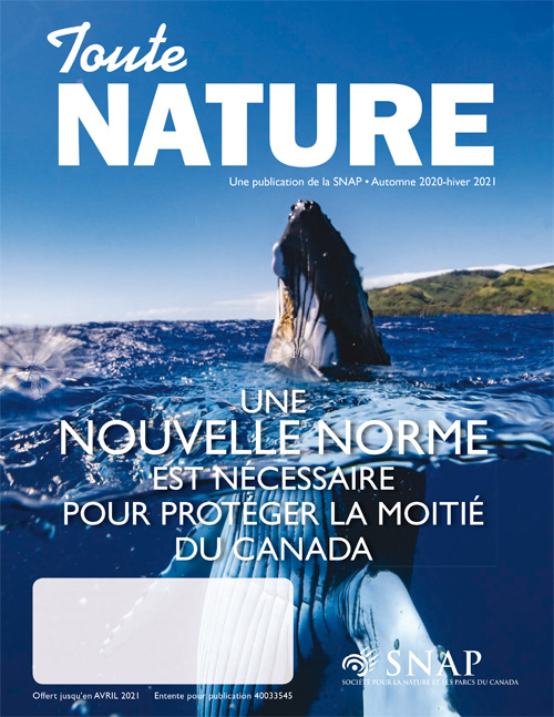 magazine cover