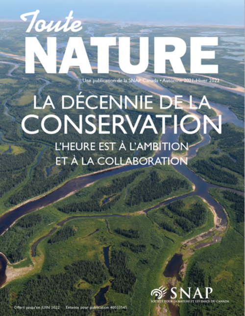 magazine cover