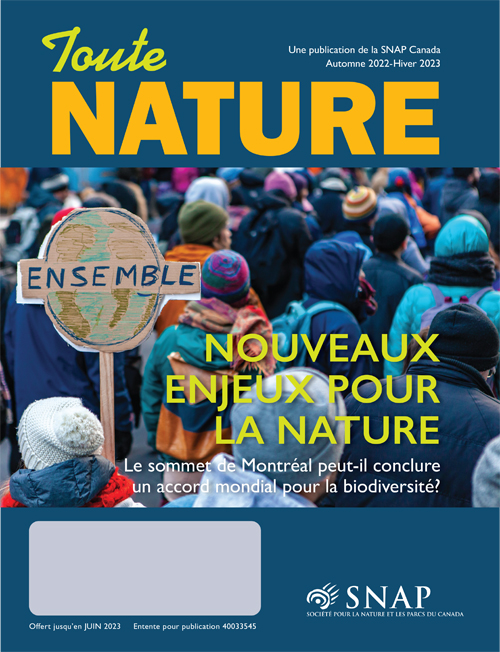 magazine cover