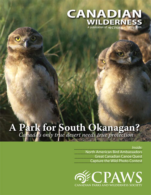 magazine cover