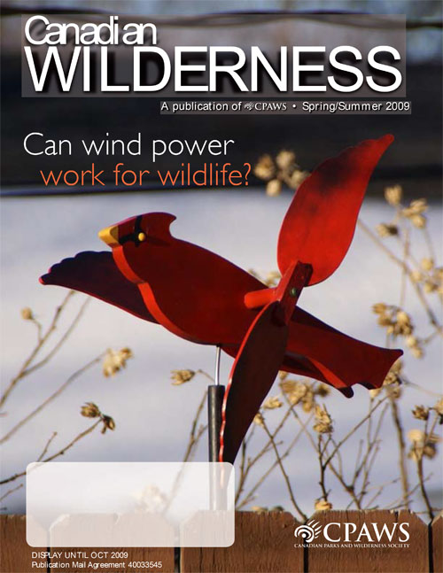 magazine cover
