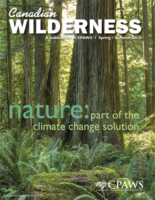 magazine cover