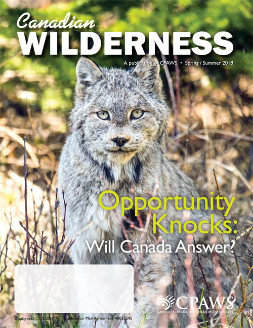 magazine cover
