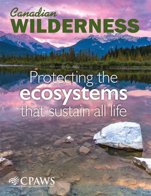 magazine cover
