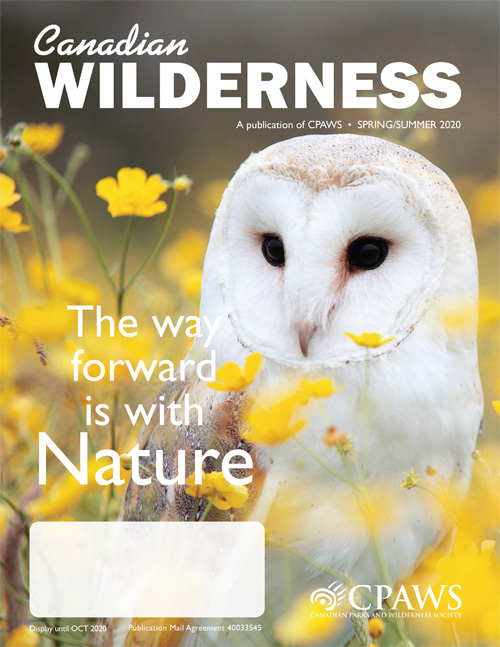 magazine cover