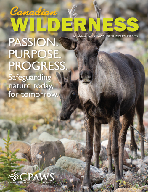 magazine cover
