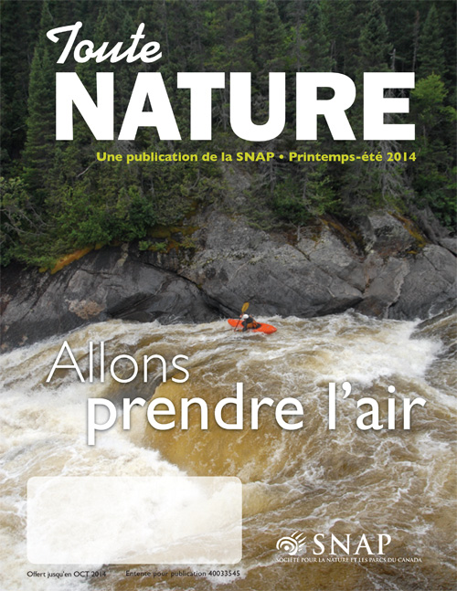 magazine cover