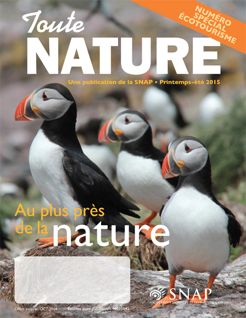 magazine cover