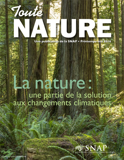 magazine cover