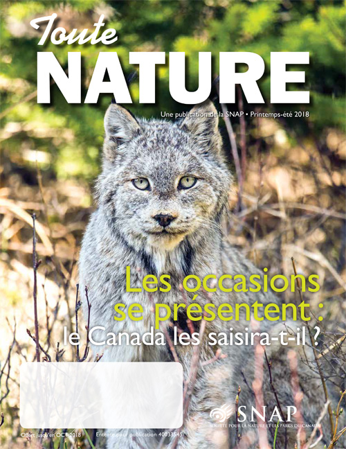 magazine cover
