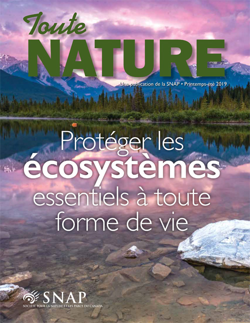 magazine cover