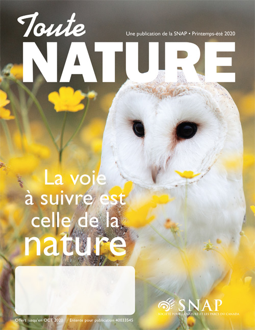 magazine cover