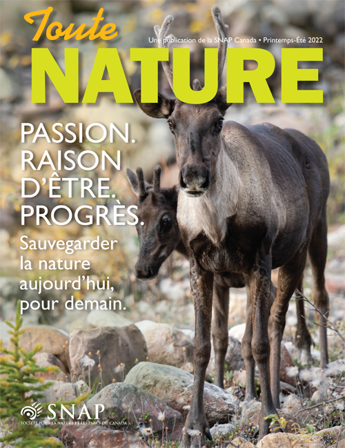 magazine cover