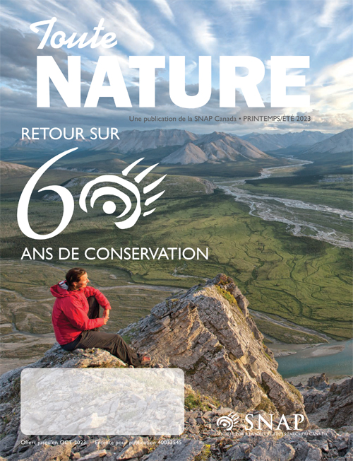 magazine cover