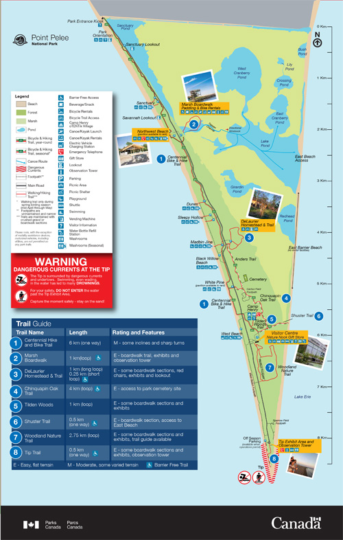brochure cover