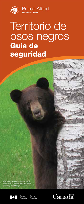 brochure cover