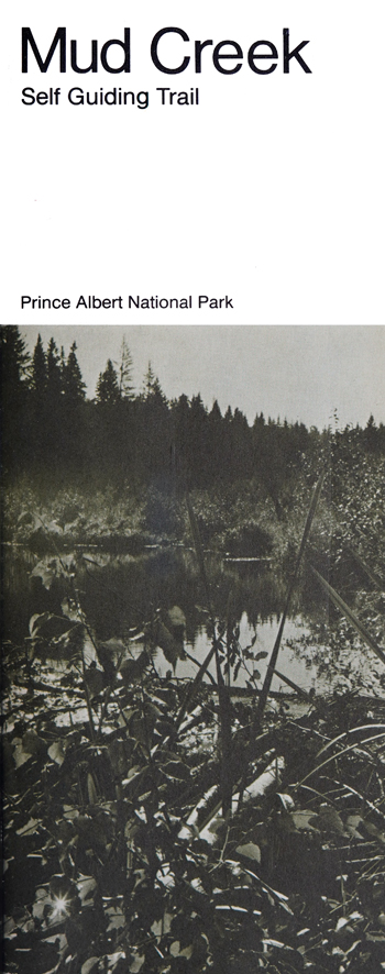 brochure cover