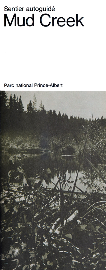 brochure cover