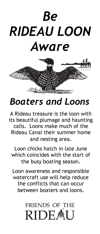 brochure cover