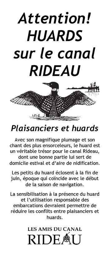 brochure cover