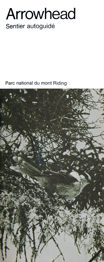 brochure cover