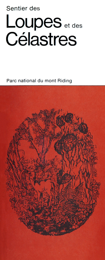 brochure cover