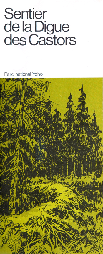 brochure cover