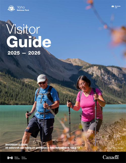 brochure cover