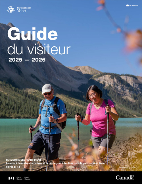 brochure cover