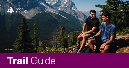 brochure cover